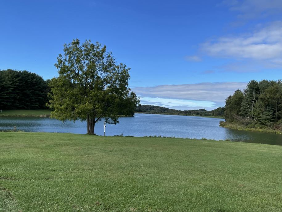 Dunlap 1 Opens in new window